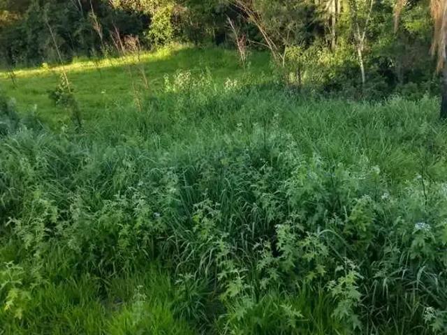 Terreno venda em Região Geográfica Imediata de Santo Antônio da Platina, Jacarezinho