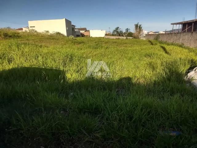 Terreno venda em Jacarezinho