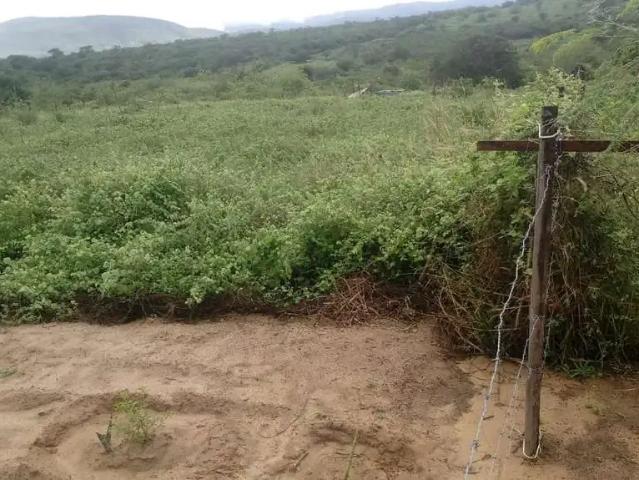 Terreno venda em Centro, Jacobina