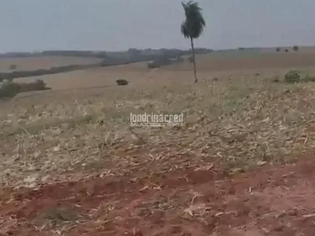 Terreno venda em Região Geográfica Imediata de Londrina, Jaguapita