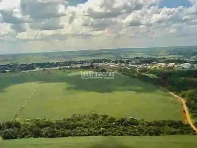 Terreno venda em Região Geográfica Imediata de Londrina, Jaguapita