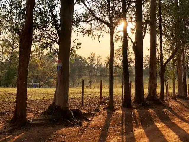 Terreno venda em Região Imediata de Campinas, Região Metropolitana de Campinas