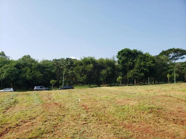 Terreno venda em Jardim Primavera, Jaguariúna