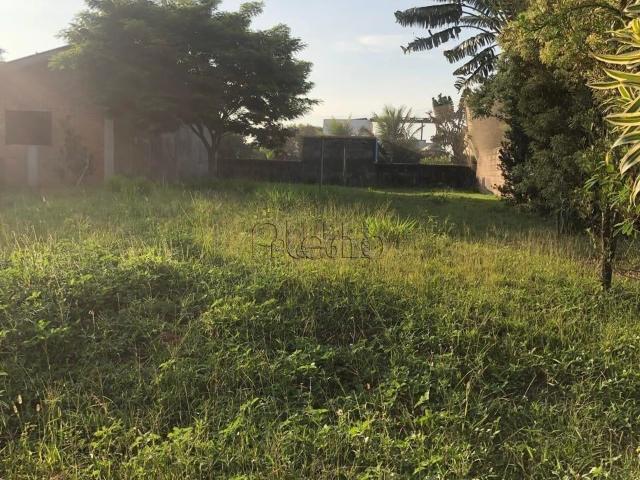 Terreno venda em Jardim Primavera, Jaguariúna