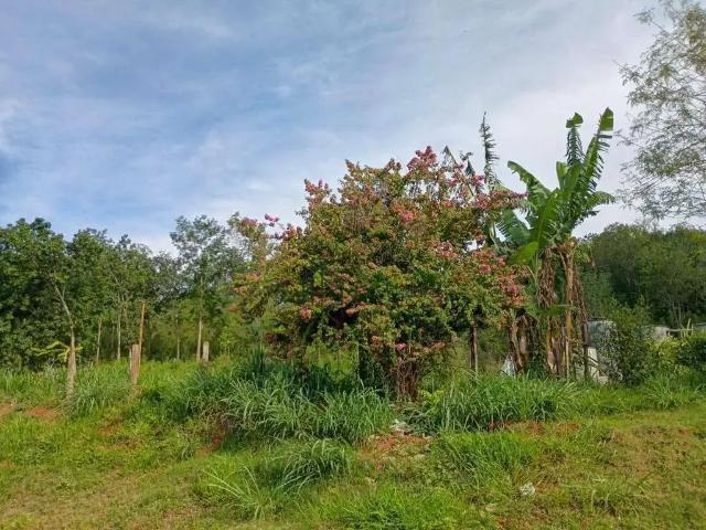 Terreno venda em Região Imediata de Itapetininga, Região Metropolitana de Sorocaba