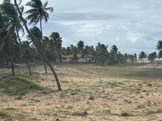 Terreno venda em Mangue Seco, Jandaíra