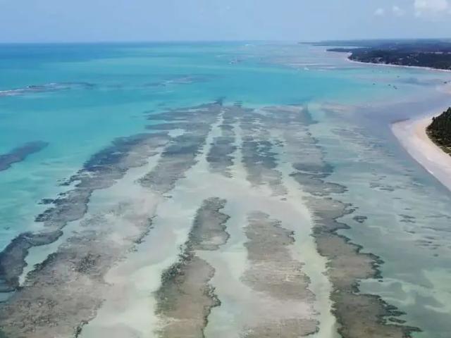 Terreno venda em Vila Alto da Repetidora, Japaratinga