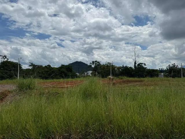 Terreno venda em Região Geográfica Imediata de Joinville, Jaraguá do Sul