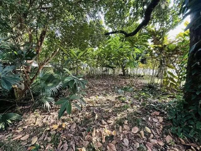 Terreno venda em Região Geográfica Imediata de Joinville, Jaraguá do Sul