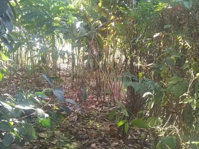 Terreno venda em Região Geográfica Imediata de Joinville, Jaraguá do Sul