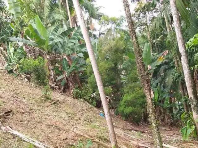 Terreno venda em Região Geográfica Imediata de Joinville, Jaraguá do Sul