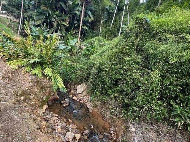 Terreno venda em Barra do Rio Cerro, Jaraguá do Sul