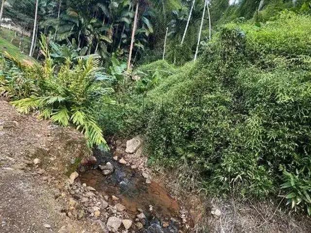 Terreno venda em Região Geográfica Imediata de Joinville, Jaraguá do Sul