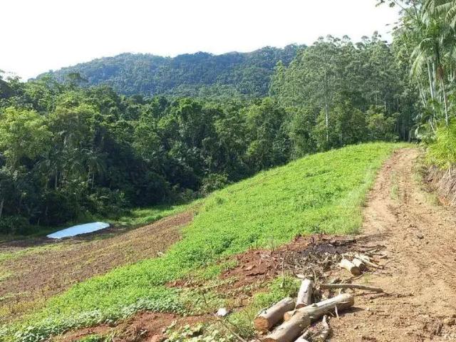Terreno venda em Região Geográfica Imediata de Joinville, Jaraguá do Sul