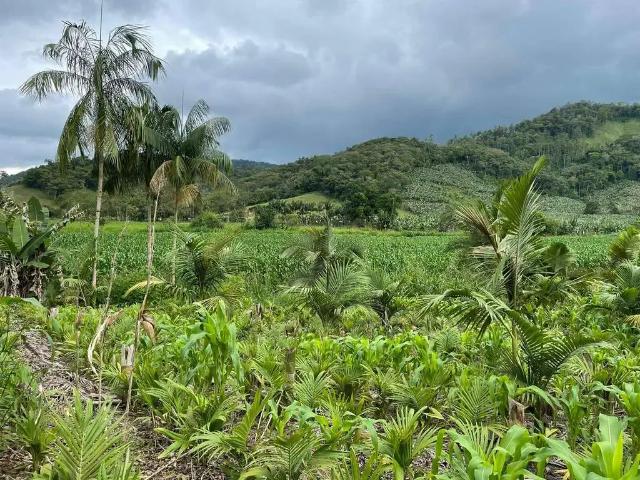 Terreno venda em Região Geográfica Imediata de Joinville, Jaraguá do Sul