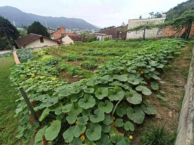 Terreno venda em Região Geográfica Imediata de Joinville, Jaraguá do Sul