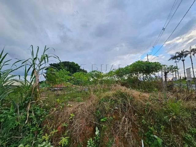 Terreno venda em Região Geográfica Imediata de Joinville, Jaraguá do Sul