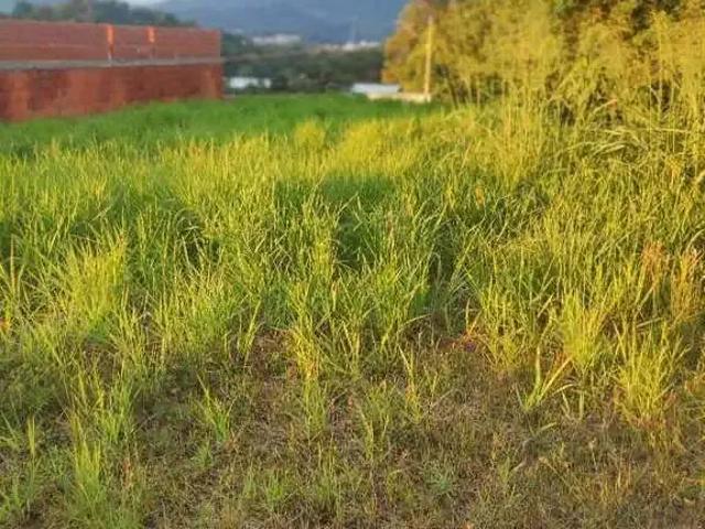 Terreno venda em Região Geográfica Imediata de Joinville, Jaraguá do Sul