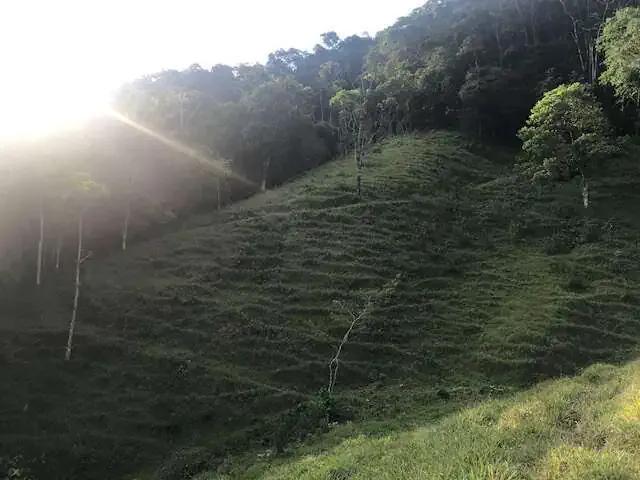 Terreno venda em Região Geográfica Imediata de Joinville, Jaraguá do Sul