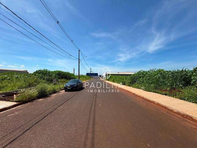 Terreno venda em Região Imediata de Ribeirão Preto, Região Metropolitana de Ribeirão Preto