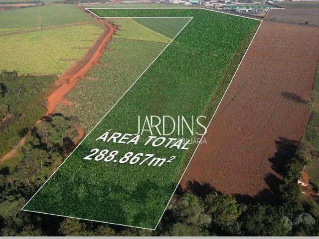 Terreno venda em Região Imediata de Ribeirão Preto, Região Metropolitana de Ribeirão Preto