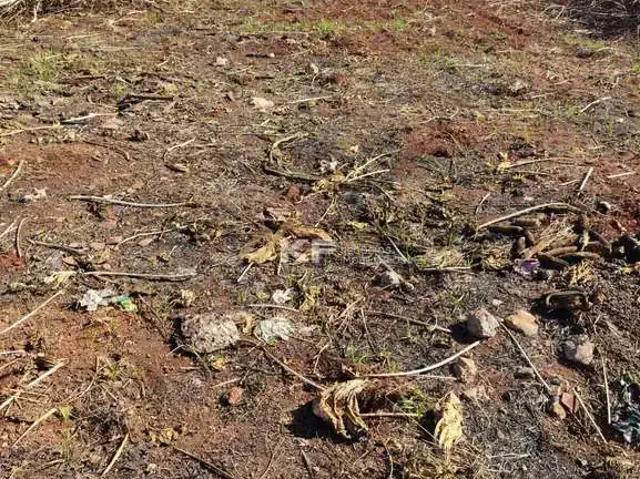 Terreno venda em Região Imediata de Ribeirão Preto, Região Metropolitana de Ribeirão Preto