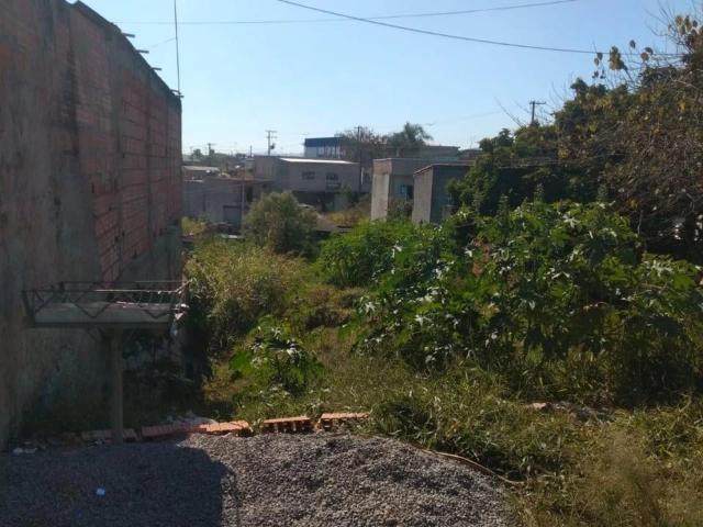 Terreno venda em Jarinu