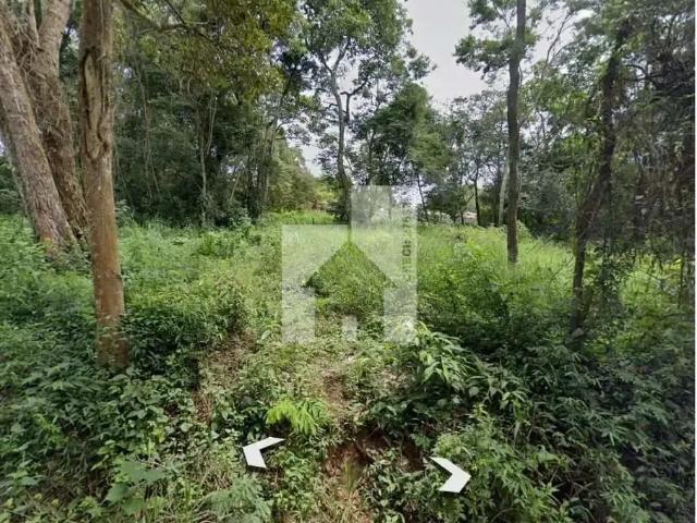 Terreno venda em Região Imediata de Registro, Iporanga