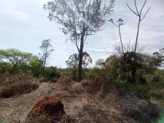 Terreno venda em Região Geográfica Imediata de Maceió, Satuba