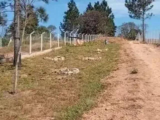 Terreno venda em Jarinu