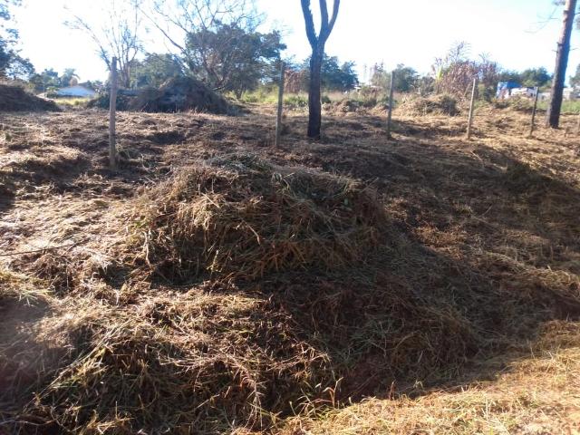 Terreno venda em Jarinu