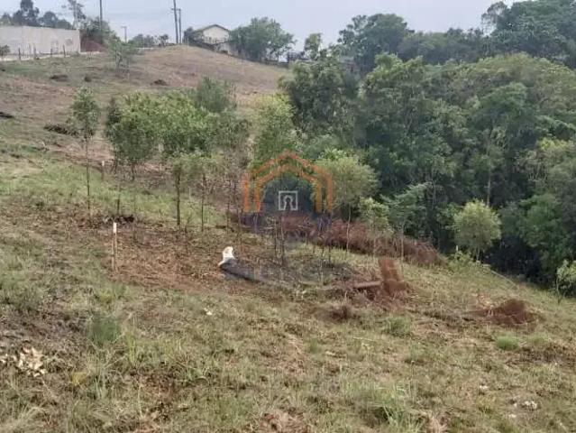 Terreno venda em Jarinu