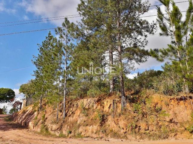 Terreno venda em Jarinu