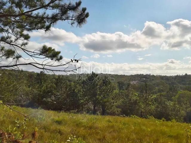 Terreno venda em Jarinu