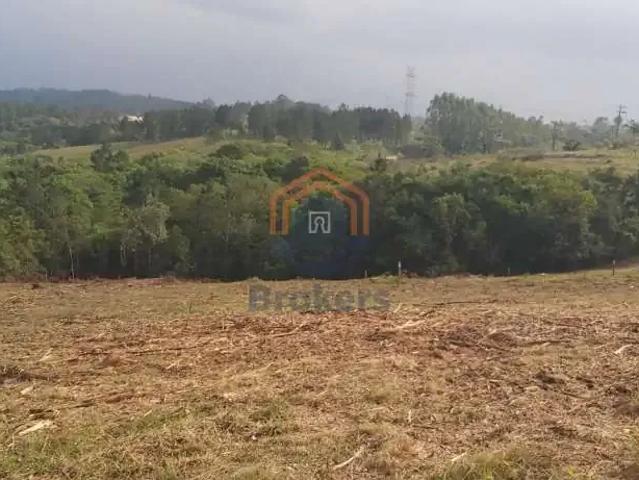 Terreno venda em Jarinu