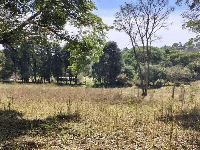 Terreno venda em Jarinu