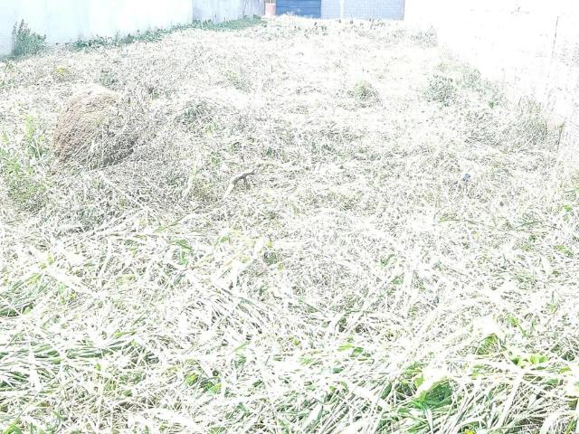 Terreno venda em Jarinu