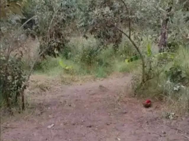 Terreno venda em Região Imediata de Jundiaí, Jundiaí