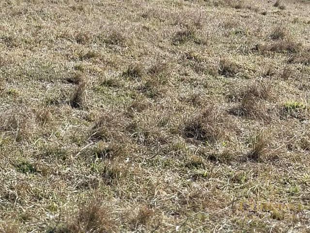 Terreno venda em Região Imediata de Bragança Paulista, Joanópolis