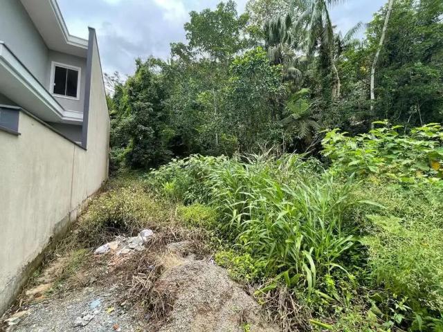 Terreno venda em Região Geográfica Imediata de Joinville, Joinville