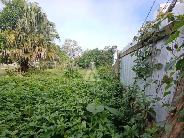 Terreno venda em Região Geográfica Imediata de Joinville, Joinville