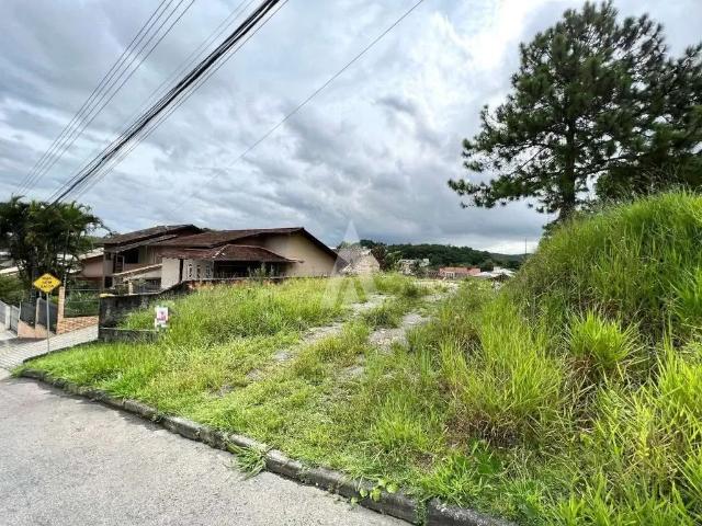 Terreno venda em Região Geográfica Imediata de Joinville, Joinville