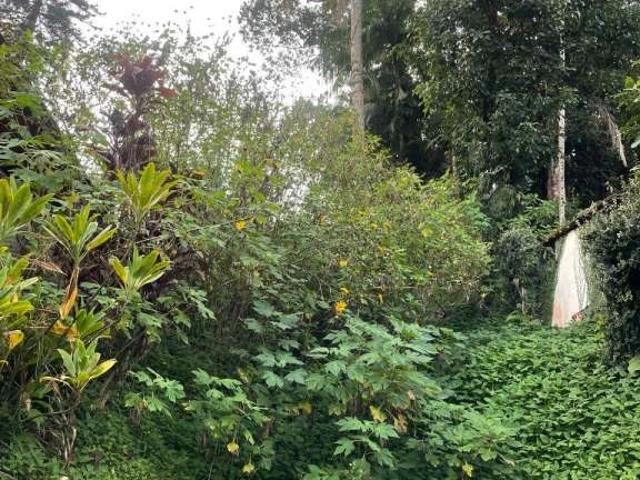 Terreno venda em Atiradores, Joinville