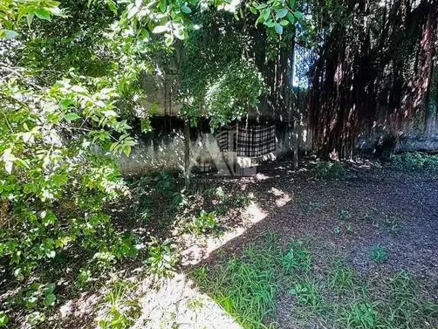 Terreno venda em Região Geográfica Imediata de Joinville, Joinville