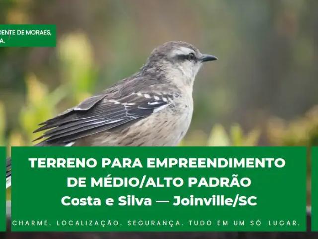Terreno venda em Região Geográfica Imediata de Joinville, Joinville