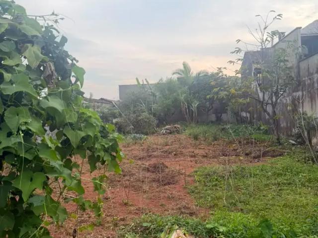 Terreno venda em Região Geográfica Imediata de Joinville, Joinville