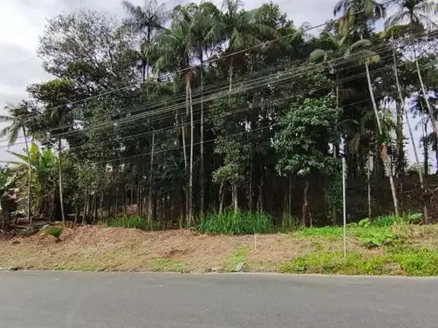 Terreno venda em Região Geográfica Imediata de Joinville, Joinville