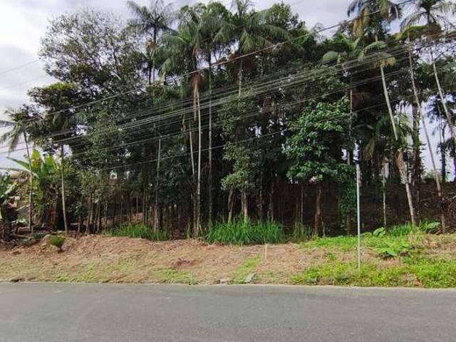 Terreno venda em Parque dos Cedros, Joinville