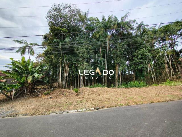 Terreno venda em Parque dos Cedros, Joinville