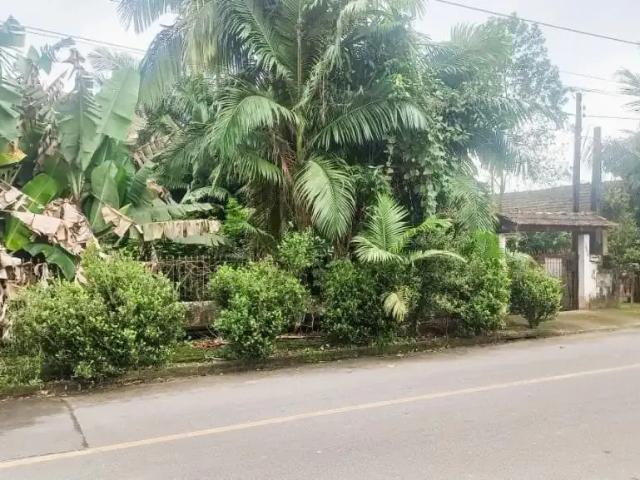 Terreno venda em Região Geográfica Imediata de Joinville, Joinville